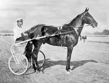 Dan Patch