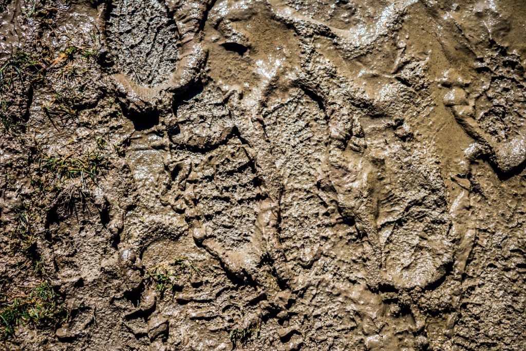 Twin Cities Duplex Market As Muddy As Spring | Duplex Chick The #1 ...